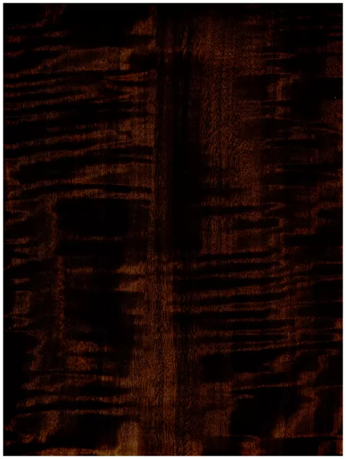  B1 118 black abstraction