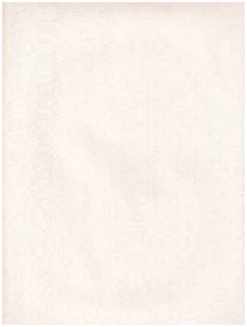  A1 (198) white abstraction