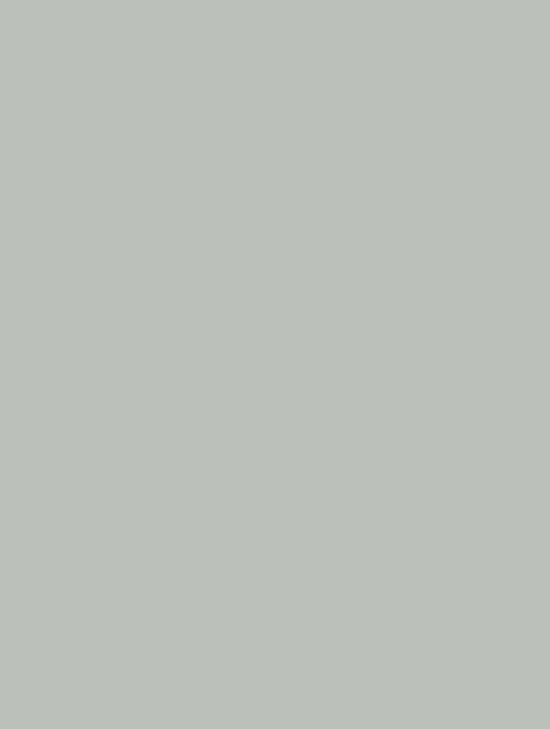  D-111 grey plain