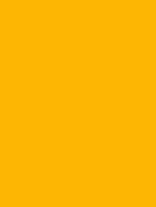  B1 (135) yellow plain