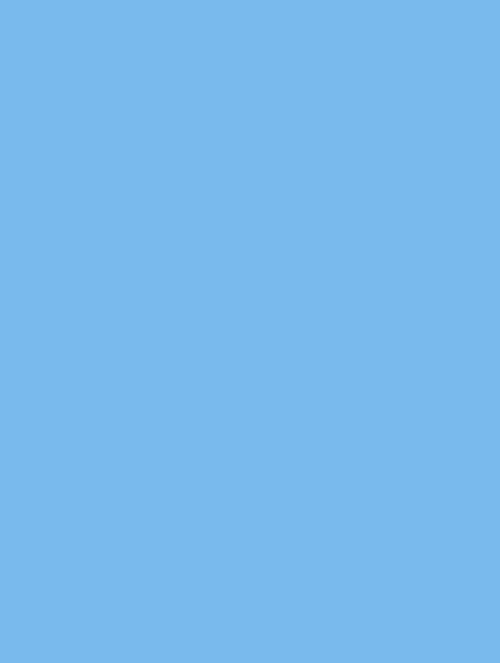  B1 (133) blue plain