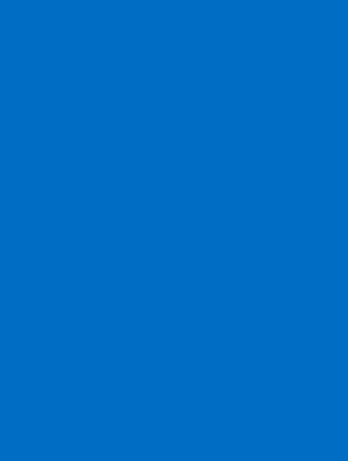  B1 (132) blue plain