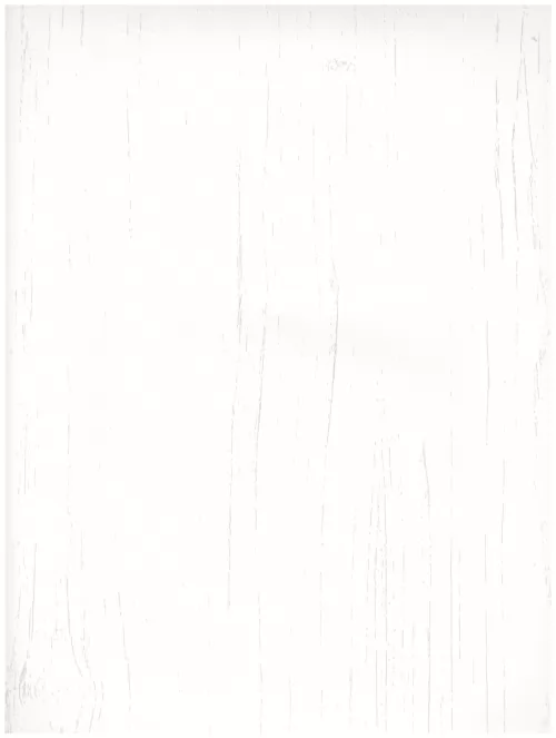  A1 (221)white wood grain